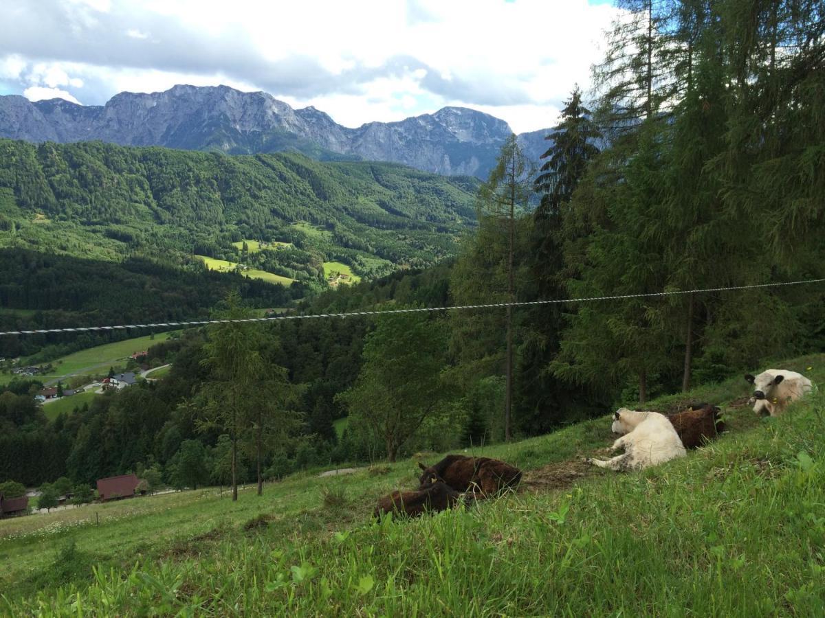 Kreitalm - Kraftplatz Im Salzkammergut Neukirchen  Exteriér fotografie