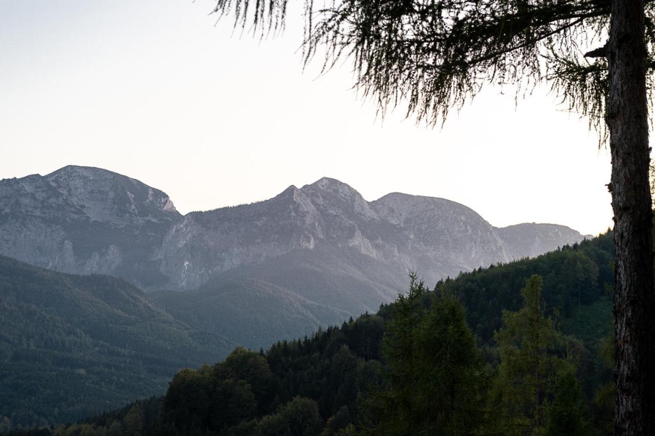 Kreitalm - Kraftplatz Im Salzkammergut Neukirchen  Exteriér fotografie